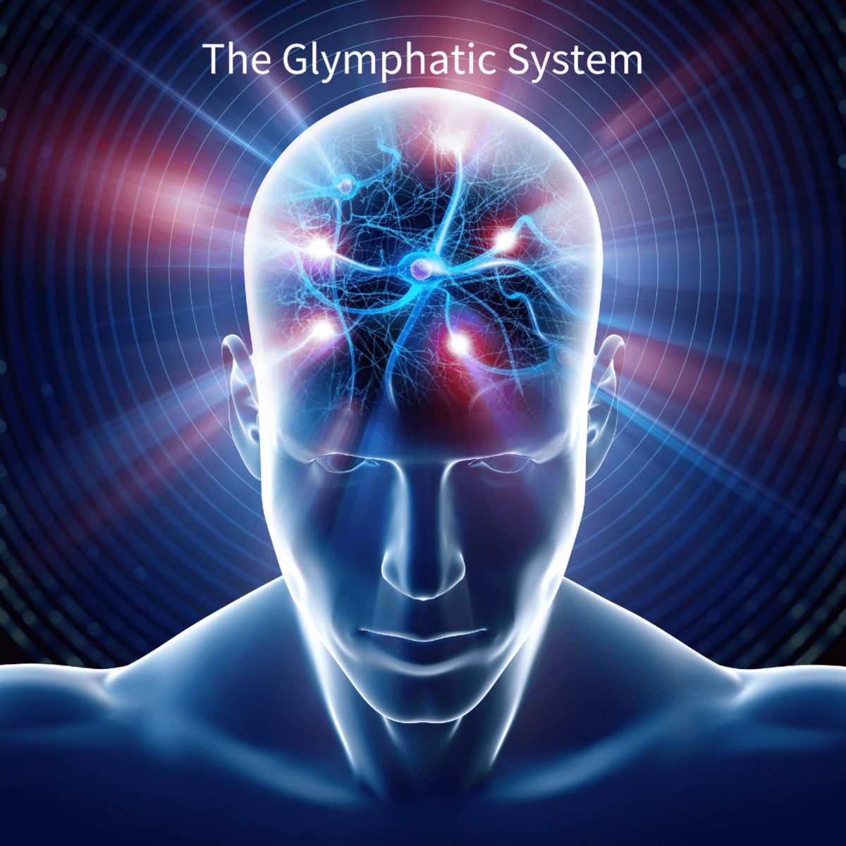 The-Glymphatic-System