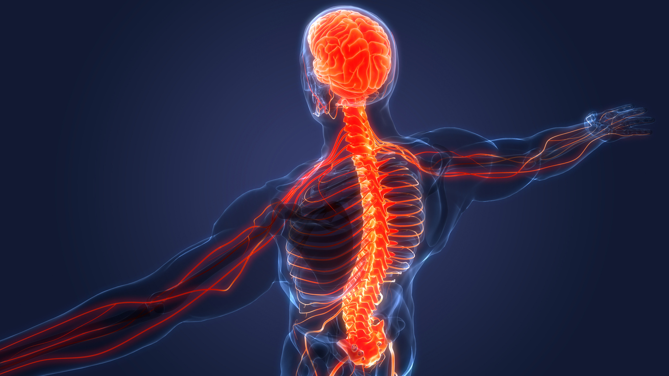 Vagus nerve stimulation