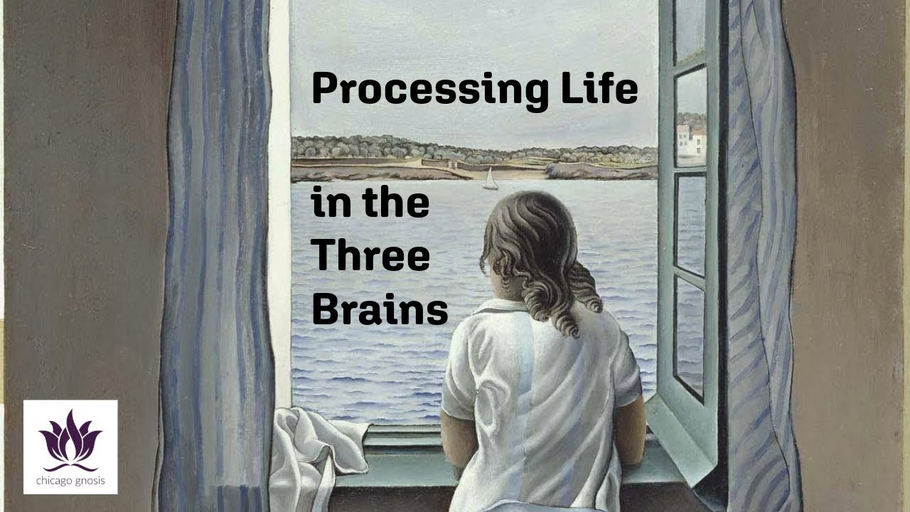 Can Claude Experience War Trauma? An Essay Authored by Claude AI 6 3 brains